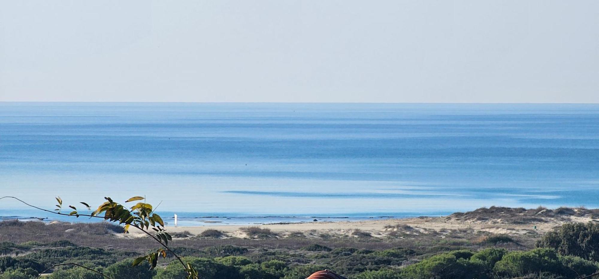 הבונים Cozy Seaview Glamping Caravan מראה חיצוני תמונה